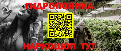 каннабис Аргун