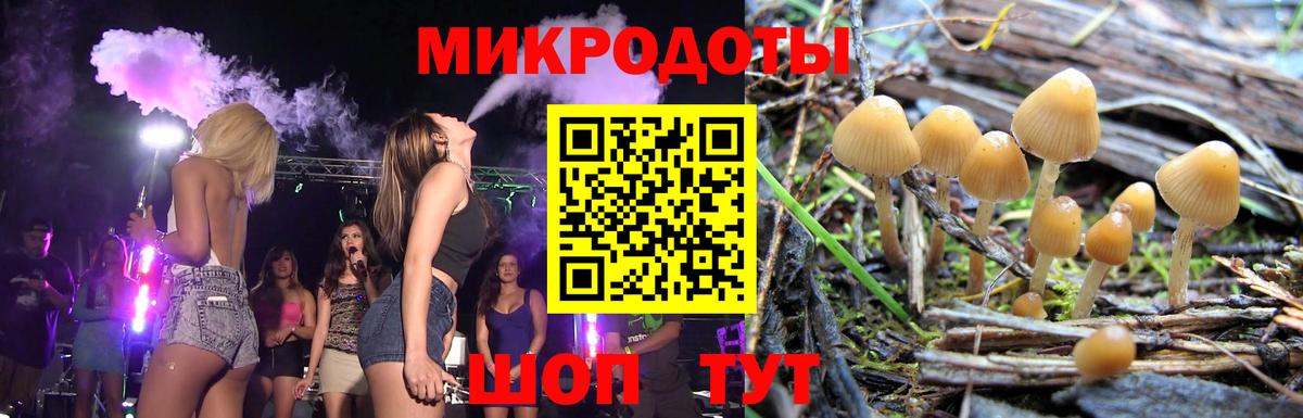 Псилоцибиновые грибы Magic Shrooms Астрахань